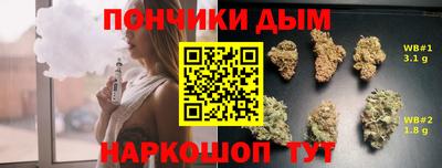 сатива Беслан