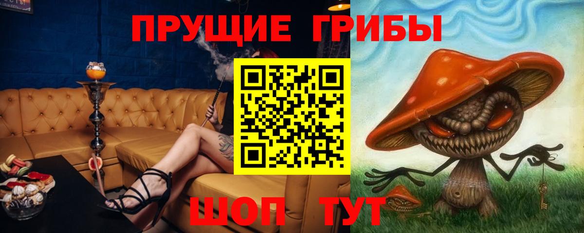 Псилоцибиновые грибы Psilocybe  Псилоцибиновые грибы MAGIC MUSHROOMS  Вход с VPN  Ирбит 