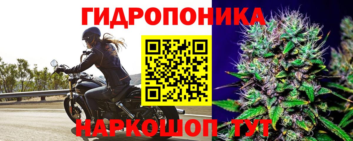 Бошки Шишки план Ирбит